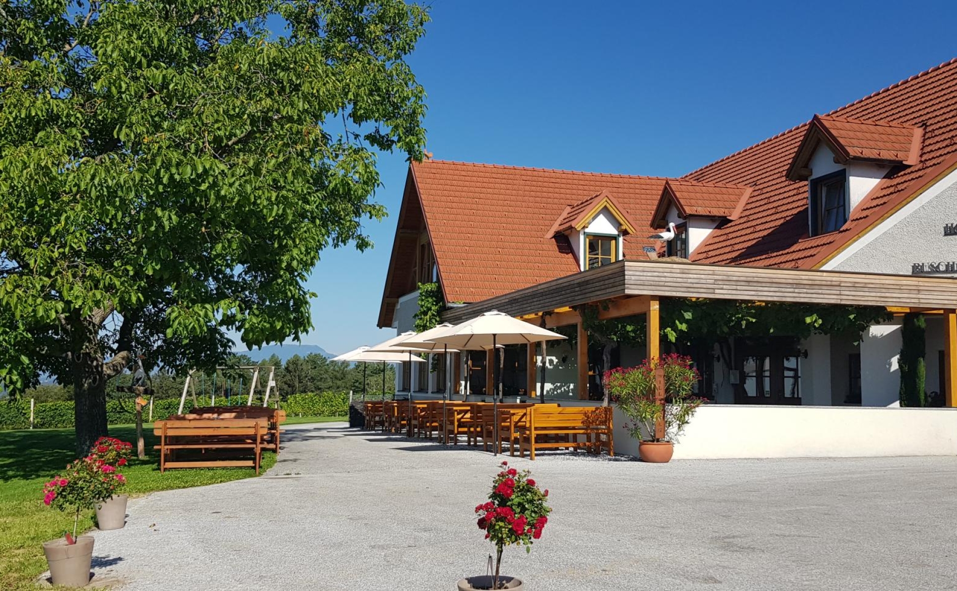 weingut-maurerat--article-1526-0.jpeg